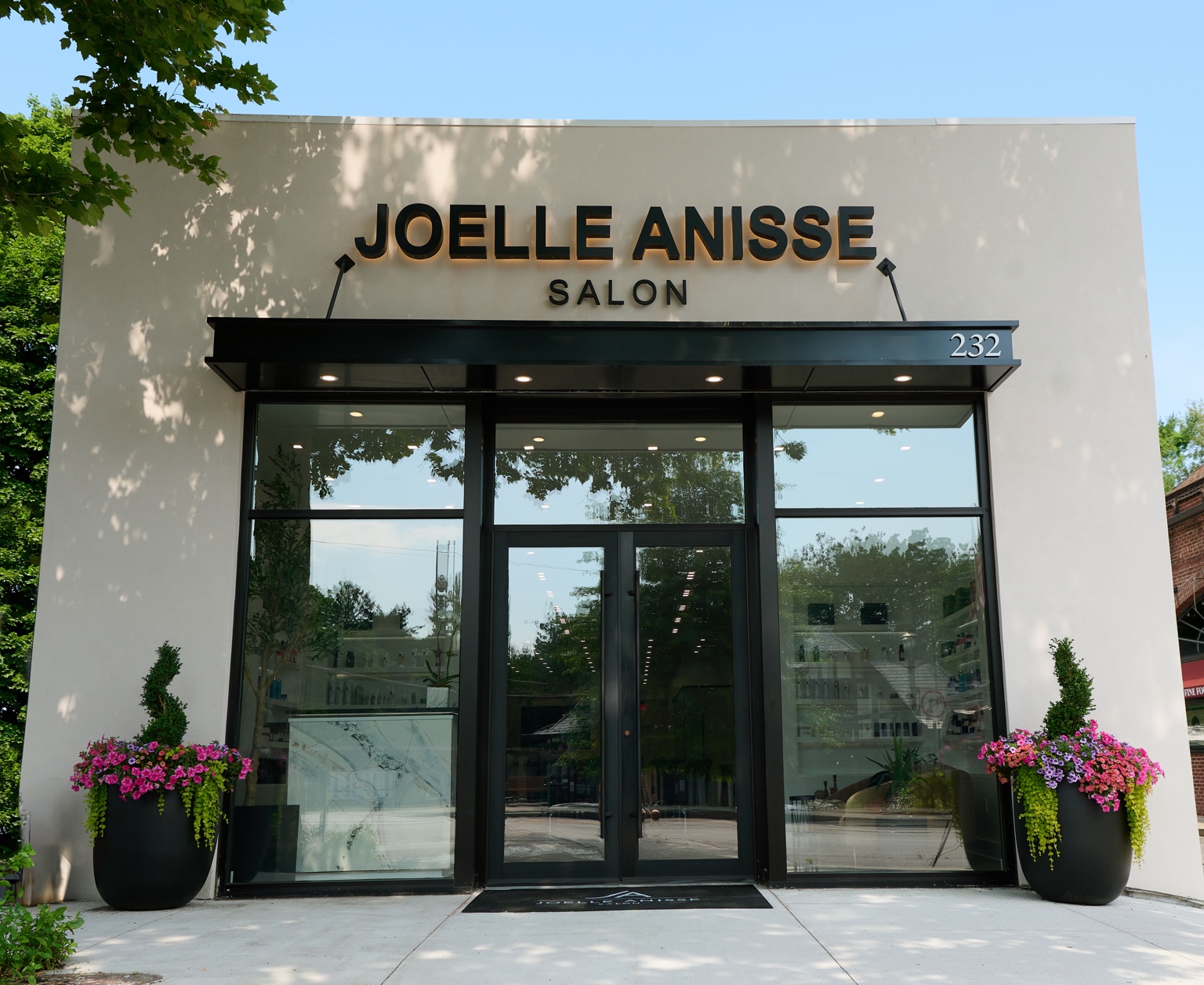 Joelle Anisse Salon portfolio