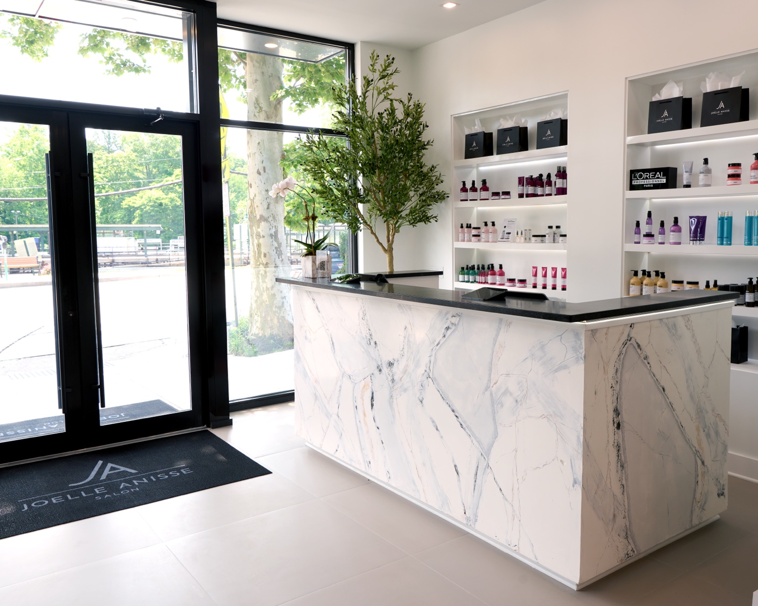 Joelle Anisse Salon portfolio
