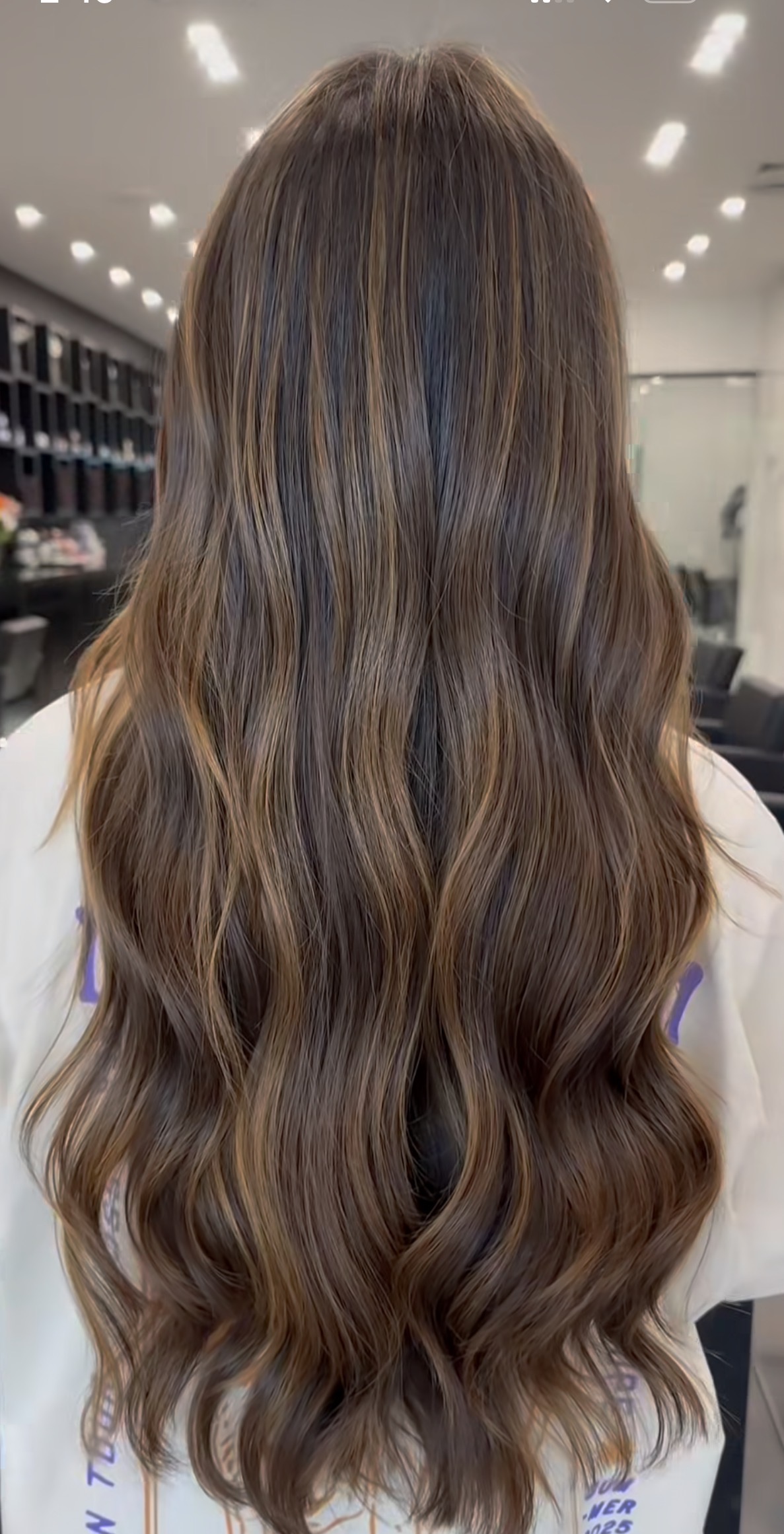 Joelle Anisse Salon portfolio